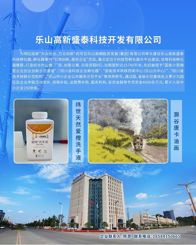 乐山高新盛泰科技开发有限公司