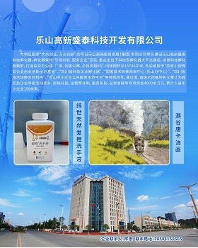 乐山高新盛泰科技开发有限公司